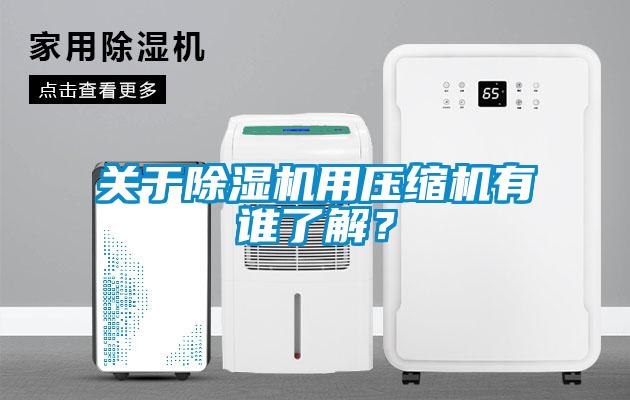 關(guān)于除濕機用壓縮機有誰了解？