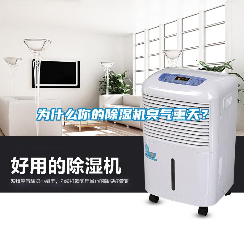 為什么你的除濕機(jī)臭氣熏天？