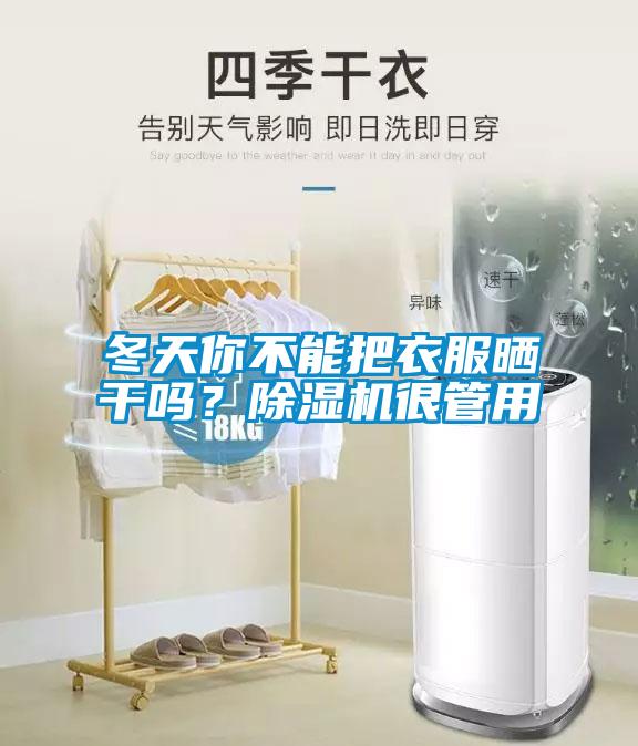 冬天你不能把衣服曬干嗎？除濕機(jī)很管用