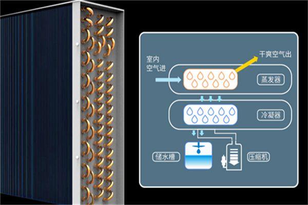 別墅為什么必須要考慮新風(fēng)除濕？