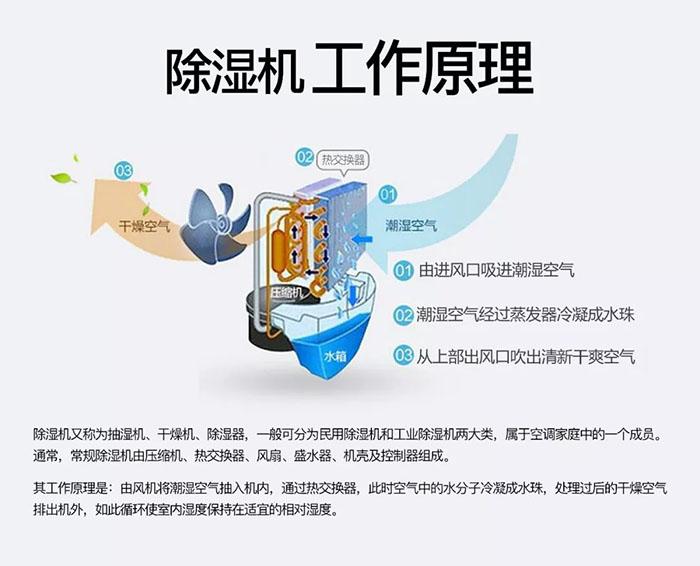 南北之爭(zhēng)：南方的濕冷比北方的干冷更變態(tài)？