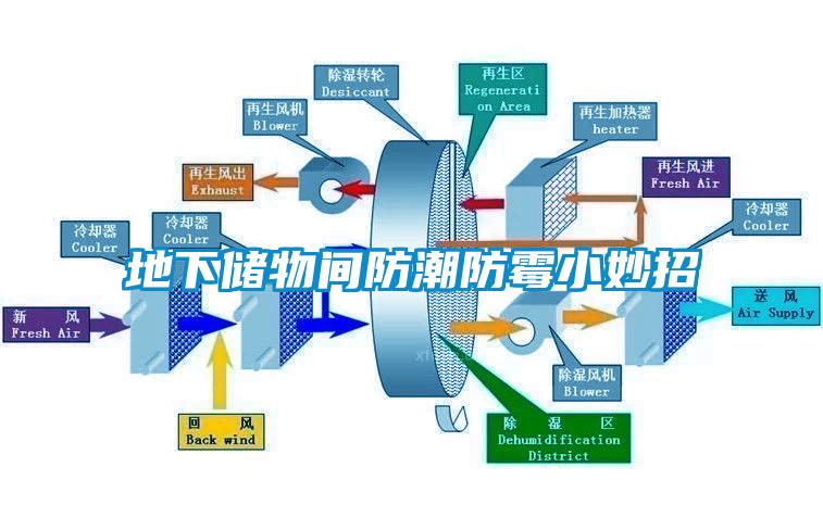 地下儲物間防潮防霉小妙招