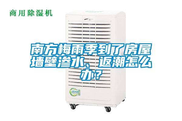 南方梅雨季到了房屋墻壁滲水、返潮怎么辦？