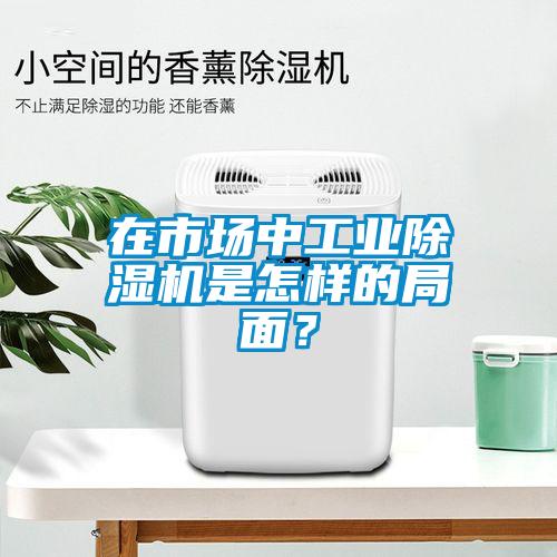 在市場中工業(yè)除濕機(jī)是怎樣的局面？