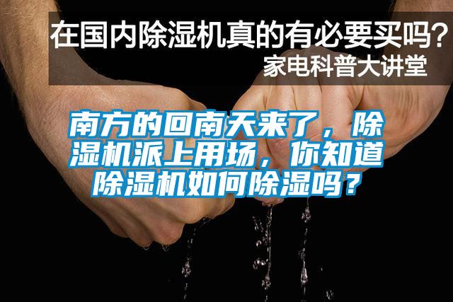 南方的回南天來了，除濕機派上用場，你知道除濕機如何除濕嗎？