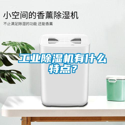 工業(yè)除濕機有什么特點？