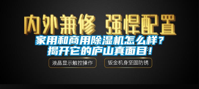 家用和商用除濕機(jī)怎么樣？揭開它的廬山真面目！