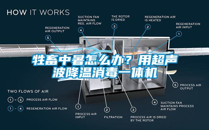 牲畜中暑怎么辦？用超聲波降溫消毒一體機