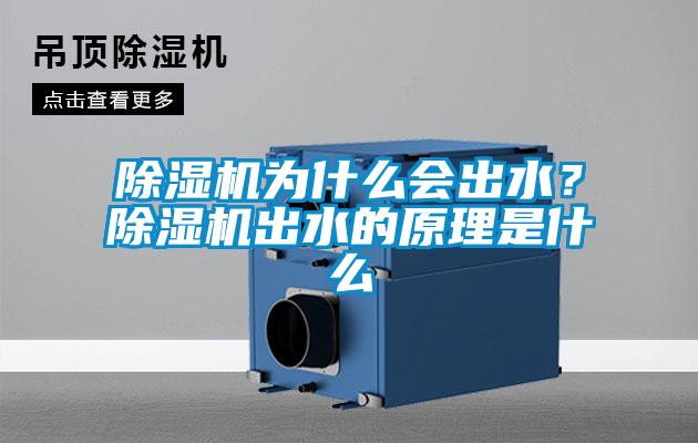 除濕機(jī)為什么會(huì)出水？除濕機(jī)出水的原理是什么