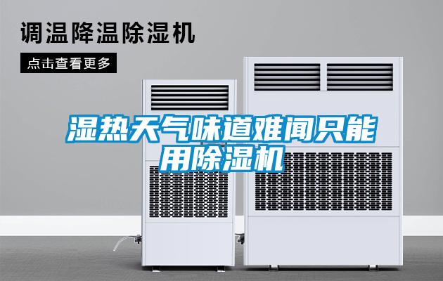 濕熱天氣味道難聞只能用除濕機