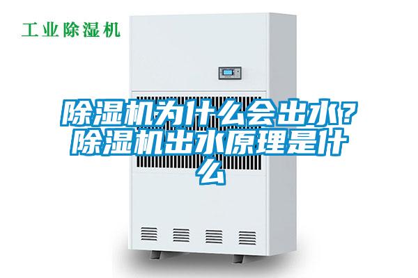 除濕機為什么會出水？除濕機出水原理是什么