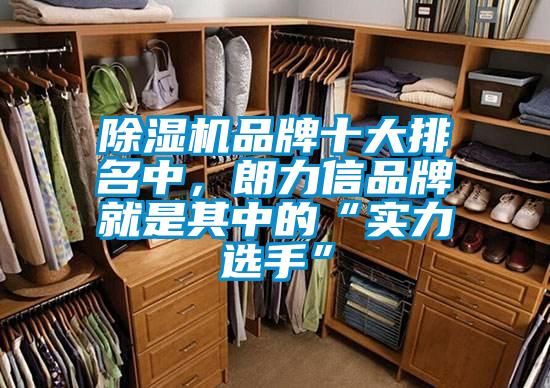 除濕機品牌十大排名中，朗力信品牌就是其中的“實力選手”