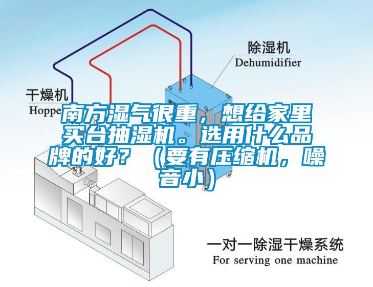 南方濕氣很重，想給家里買(mǎi)臺(tái)抽濕機(jī)。選用什么品牌的好？（要有壓縮機(jī)，噪音?。?/></p>
						    <p style=