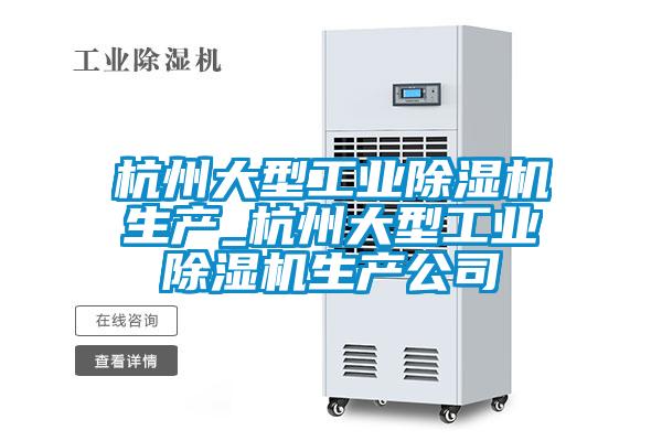 杭州大型工業(yè)除濕機(jī)生產(chǎn)_杭州大型工業(yè)除濕機(jī)生產(chǎn)公司