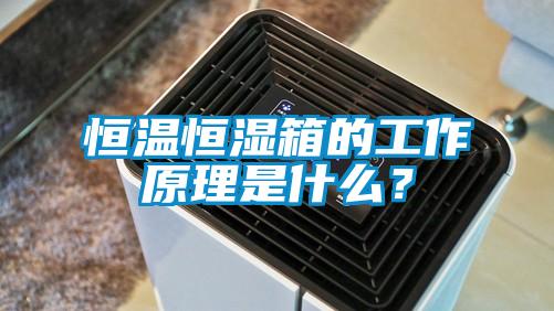 恒溫恒濕箱的工作原理是什么？