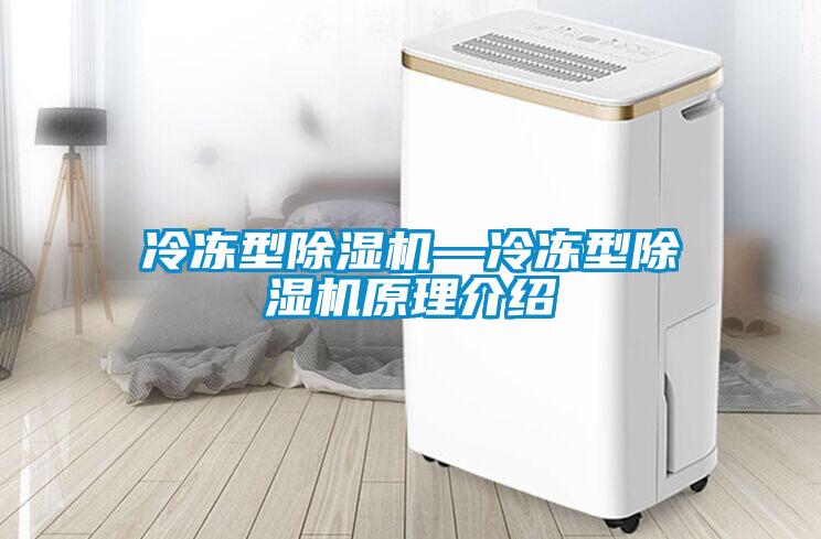 冷凍型除濕機—冷凍型除濕機原理介紹