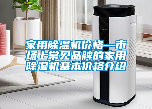 家用除濕機(jī)價(jià)格—市場(chǎng)上常見(jiàn)品牌的家用除濕機(jī)基本價(jià)格介紹