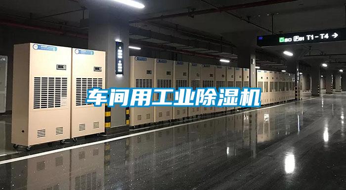 車間用工業(yè)除濕機