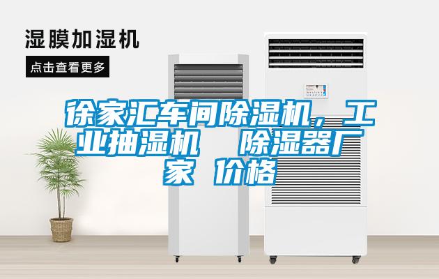 徐家匯車間除濕機，工業(yè)抽濕機  除濕器廠家 價格