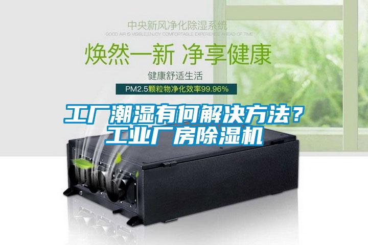 工廠潮濕有何解決方法？工業(yè)廠房除濕機