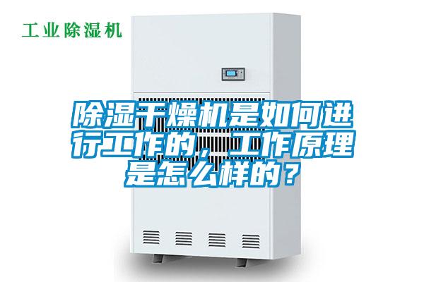 除濕干燥機是如何進行工作的，工作原理是怎么樣的？