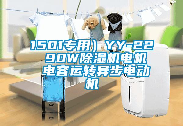 1501專用）YY-22  90W除濕機電機  電容運轉(zhuǎn)異步電動機