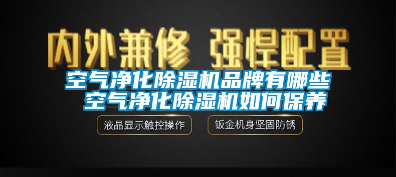 空氣凈化除濕機(jī)品牌有哪些 空氣凈化除濕機(jī)如何保養(yǎng)