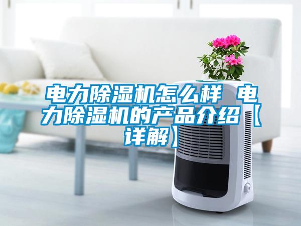 電力除濕機怎么樣 電力除濕機的產品介紹【詳解】