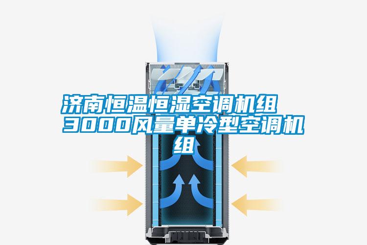 濟南恒溫恒濕空調(diào)機組  3000風(fēng)量單冷型空調(diào)機組