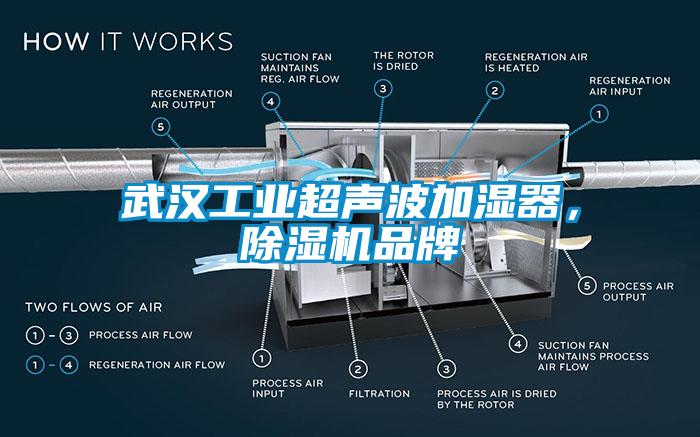 武漢工業(yè)超聲波加濕器，除濕機品牌