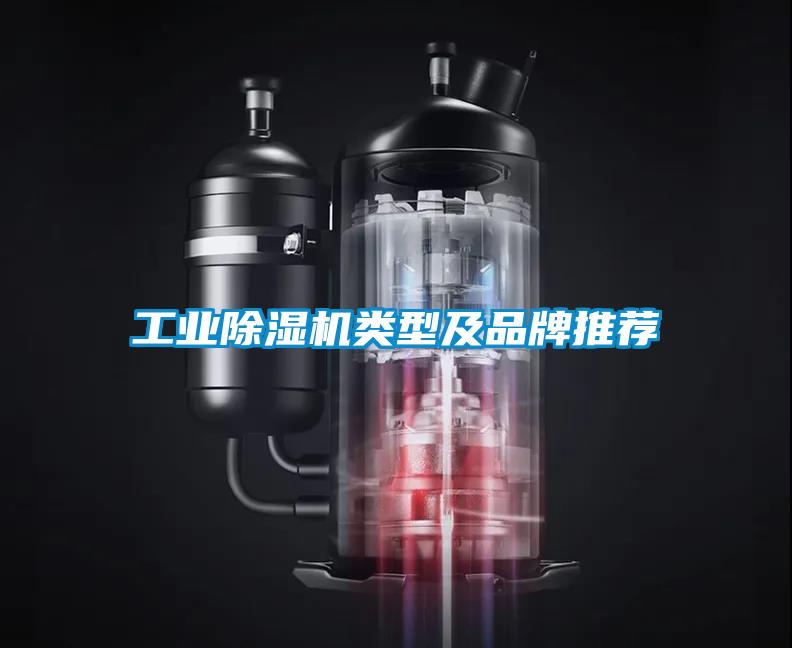 工業(yè)除濕機類型及品牌推薦