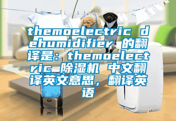 themoelectric dehumidifier 的翻譯是：themoelectric 除濕機(jī) 中文翻譯英文意思，翻譯英語