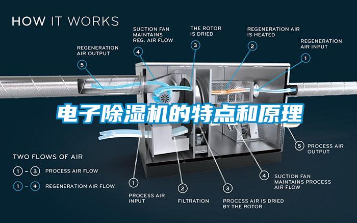 電子除濕機(jī)的特點(diǎn)和原理