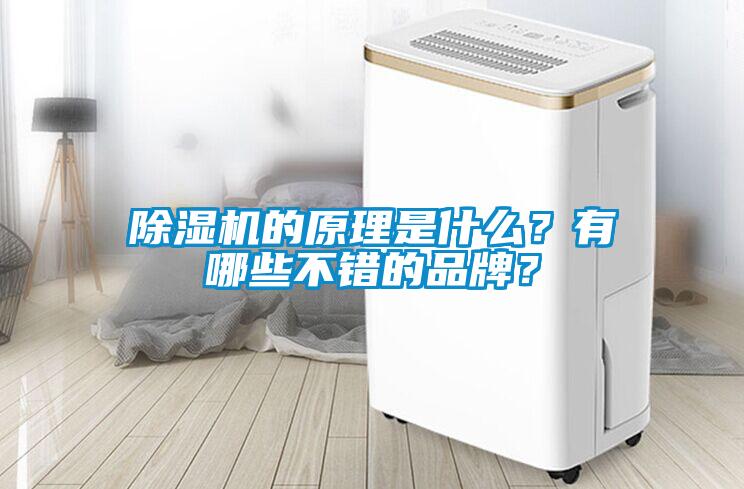 除濕機的原理是什么？有哪些不錯的品牌？