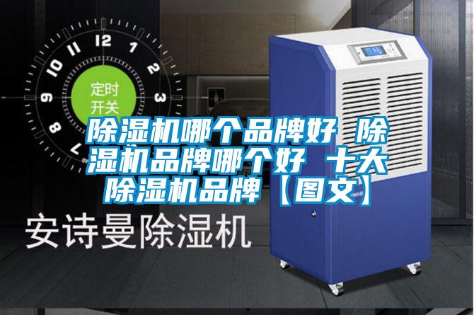 除濕機(jī)哪個品牌好 除濕機(jī)品牌哪個好 十大除濕機(jī)品牌【圖文】