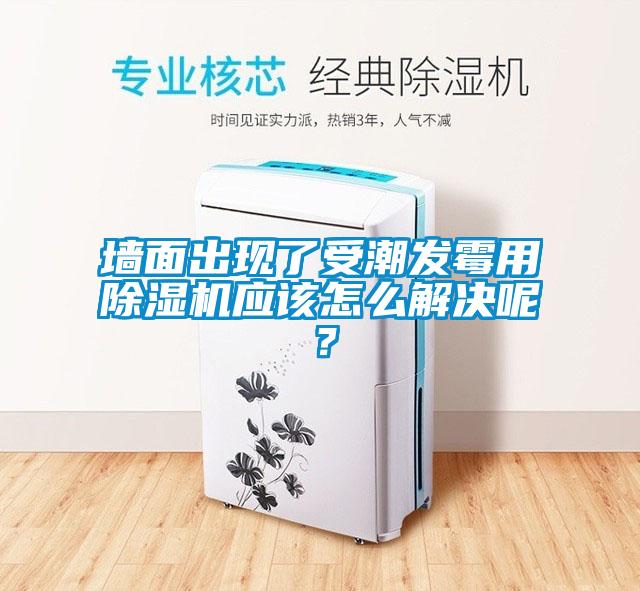 墻面出現(xiàn)了受潮發(fā)霉用除濕機應該怎么解決呢？