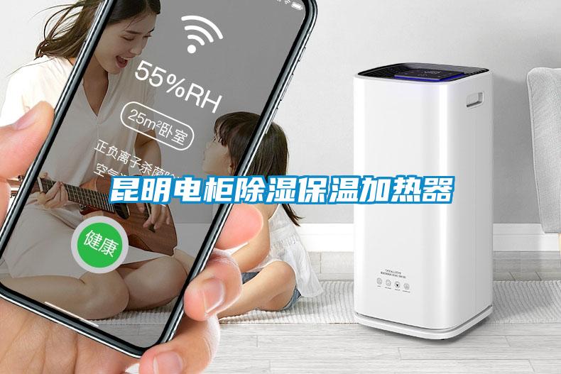 昆明電柜除濕保溫加熱器