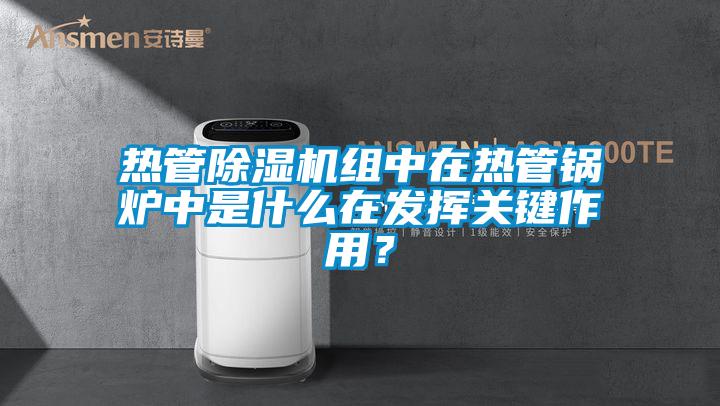 熱管除濕機組中在熱管鍋爐中是什么在發(fā)揮關鍵作用？