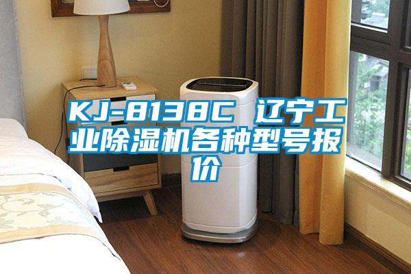 KJ-8138C 遼寧工業(yè)除濕機(jī)各種型號報價