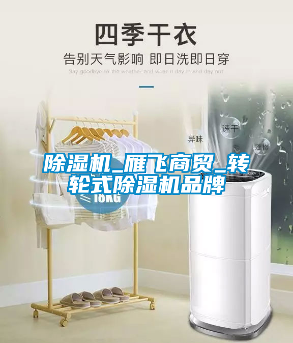 除濕機_雁飛商貿(mào)_轉輪式除濕機品牌