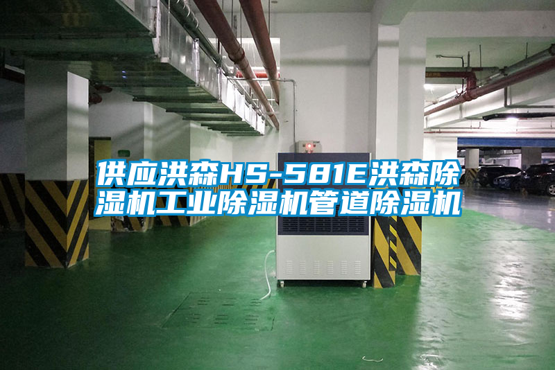 供應洪森HS-581E洪森除濕機工業(yè)除濕機管道除濕機