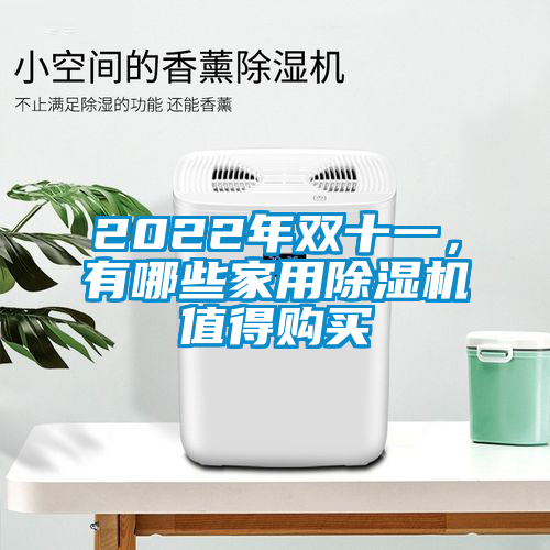 2022年雙十一，有哪些家用除濕機(jī)值得購買