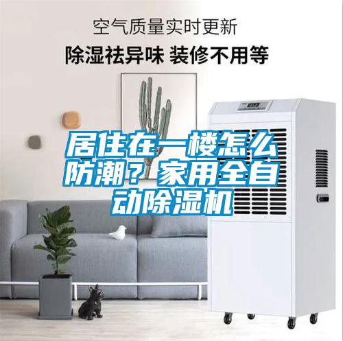 居住在一樓怎么防潮？家用全自動除濕機