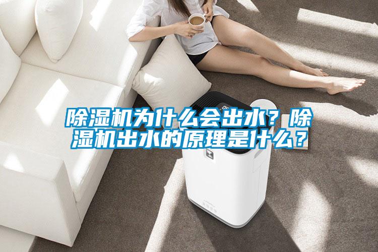 除濕機為什么會出水？除濕機出水的原理是什么？