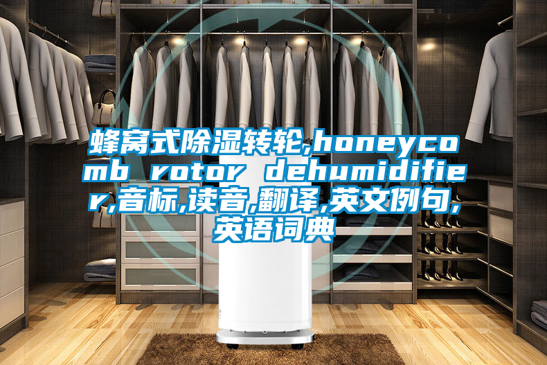 蜂窩式除濕轉(zhuǎn)輪,honeycomb rotor dehumidifier,音標(biāo),讀音,翻譯,英文例句,英語詞典