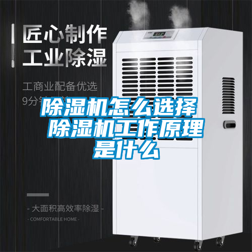 除濕機(jī)怎么選擇 除濕機(jī)工作原理是什么