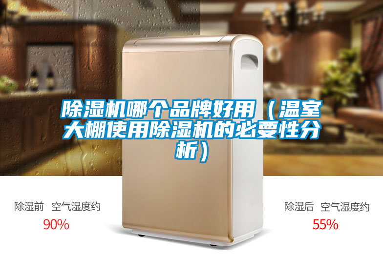 除濕機哪個品牌好用（溫室大棚使用除濕機的必要性分析）