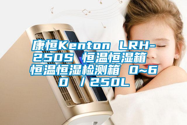 康恒Kenton LRH-250S 恒溫恒濕箱 恒溫恒濕檢測箱 0~60℃／250L