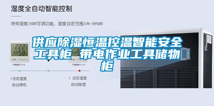 供應(yīng)除濕恒溫控溫智能安全工具柜 帶電作業(yè)工具儲物柜