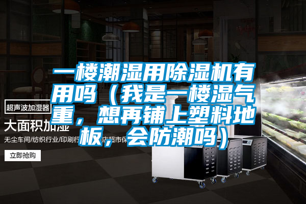 一樓潮濕用除濕機有用嗎（我是一樓濕氣重，想再鋪上塑料地板，會防潮嗎）